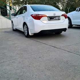 Toyota Corolla 2019