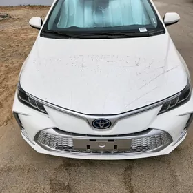 Toyota Corolla 2024