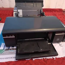 Epson L800 printer switnoy