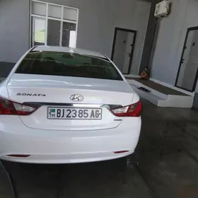 Hyundai Sonata 2010