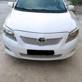 Toyota Corolla 2010