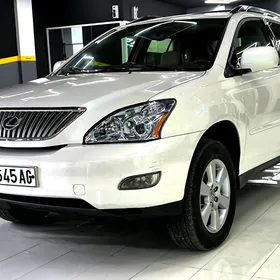 Lexus RX 330 2004