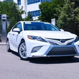 Toyota Camry 2019