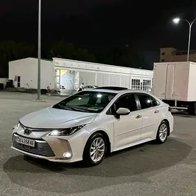 Toyota Corolla 2019