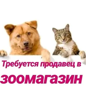 Продавец Консультант