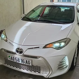 Toyota Corolla 2019