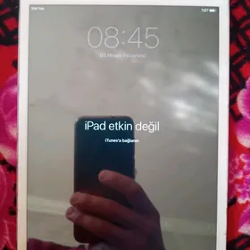 ipad ипад