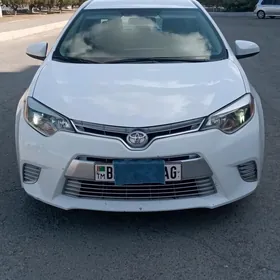 Toyota Corolla 2014