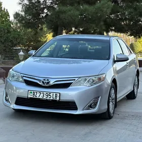 Toyota Camry 2013