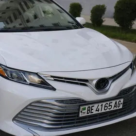 Toyota Camry 2019