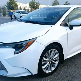 Toyota Corolla 2020