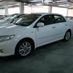 Toyota Corolla 2008