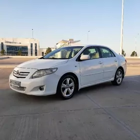 Toyota Corolla 2010