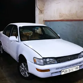 Toyota Corolla 1994