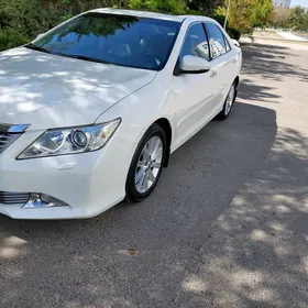 Toyota Aurion 2013