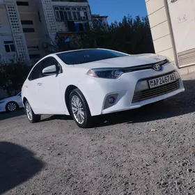 Toyota Corolla 2014