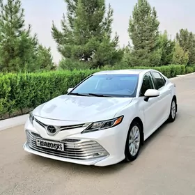 Toyota Camry 2019