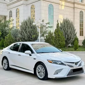 Toyota Camry 2019