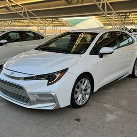 Toyota Corolla 2019