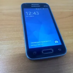 telefon Samsung 313