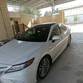 Toyota Camry 2019