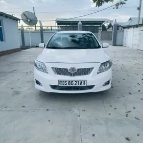 Toyota Corolla 2010