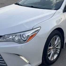 gylyc camry far