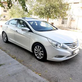 Hyundai Sonata 2010