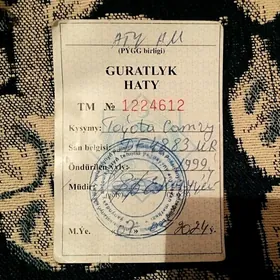 guratlyk hat DF 48 83 MR