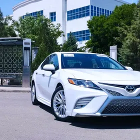 Toyota Camry 2019