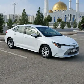 Toyota Corolla 2019