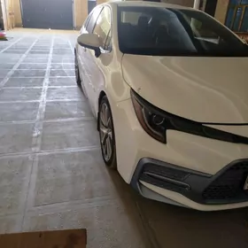 Toyota Corolla 2019