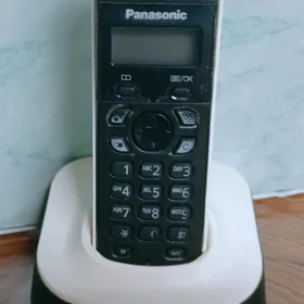 Panasonic