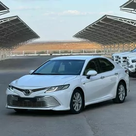 Toyota Camry 2019