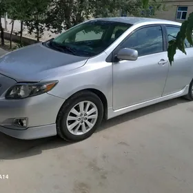 Toyota Corolla 2010