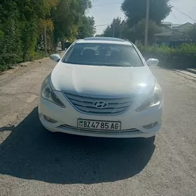 Hyundai Sonata 2010