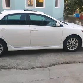 Toyota Corolla 2010