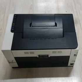 HP svetnoy printer