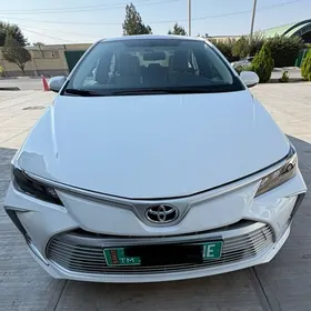 Toyota Corolla 2021