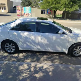 Toyota Camry 2010