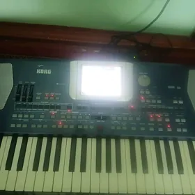 Korg pa500