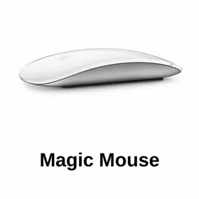 apple mouse