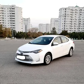 Toyota Corolla 2019