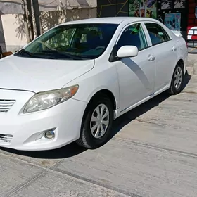 Toyota Corolla 2010