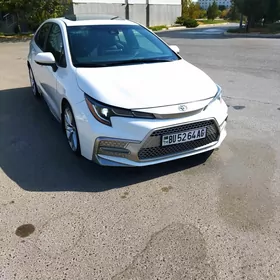 Toyota Corolla 2019