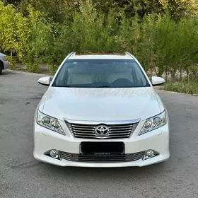 Toyota Aurion 2013