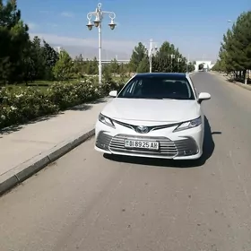 Toyota Camry 2019