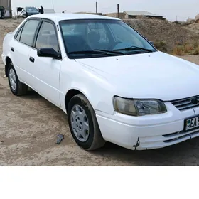 Toyota Corolla 1995