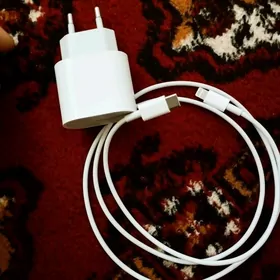 iPhone adapter 20V