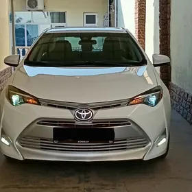 Toyota Corolla 2019